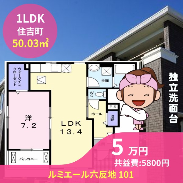 ルミエール六反地 101