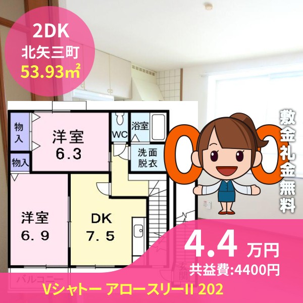 Vシャトー アロースリーII 202