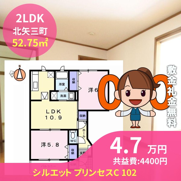 シルエット プリンセスC 102