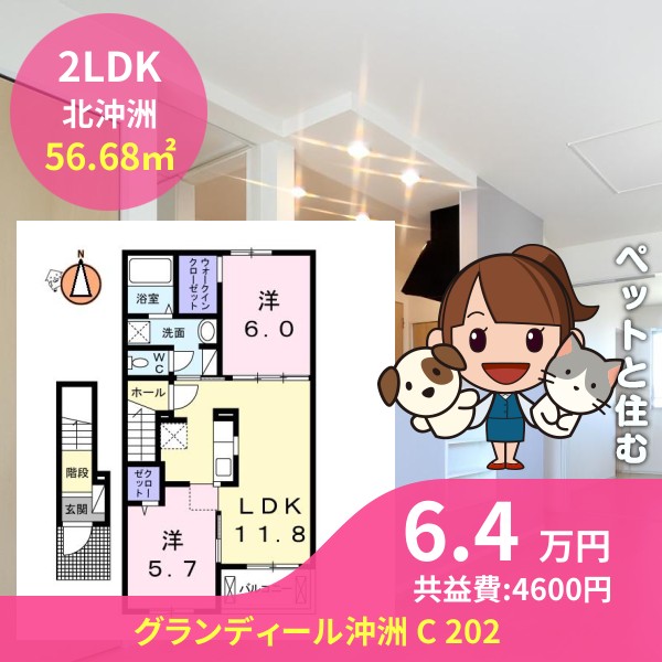 グランディール沖洲 C 202