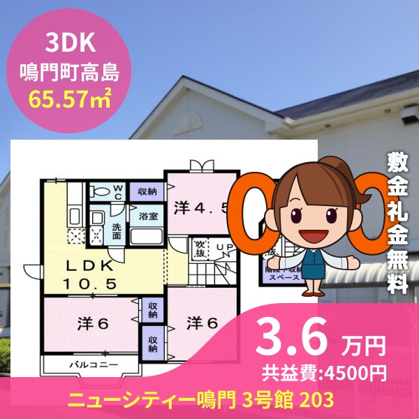 ニューシティー鳴門 3号館 203