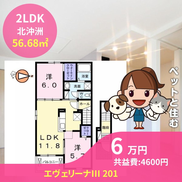 エヴェリーナIII 201