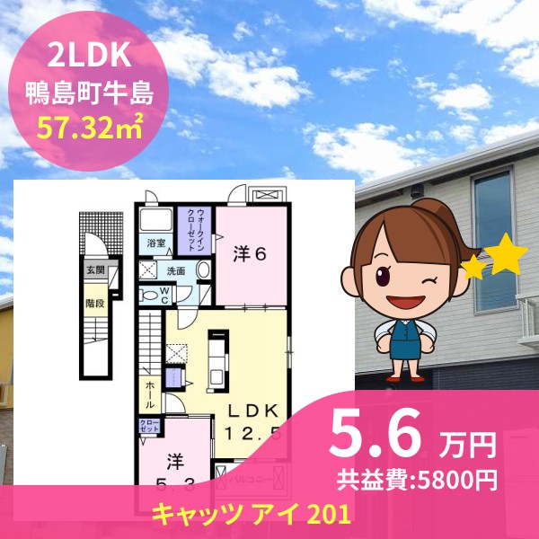 キャッツ アイ 201