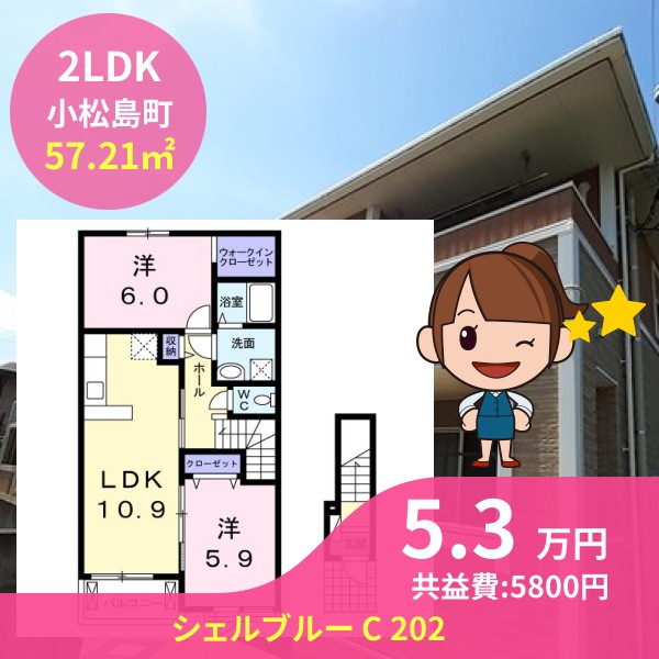 シェルブルー C 202