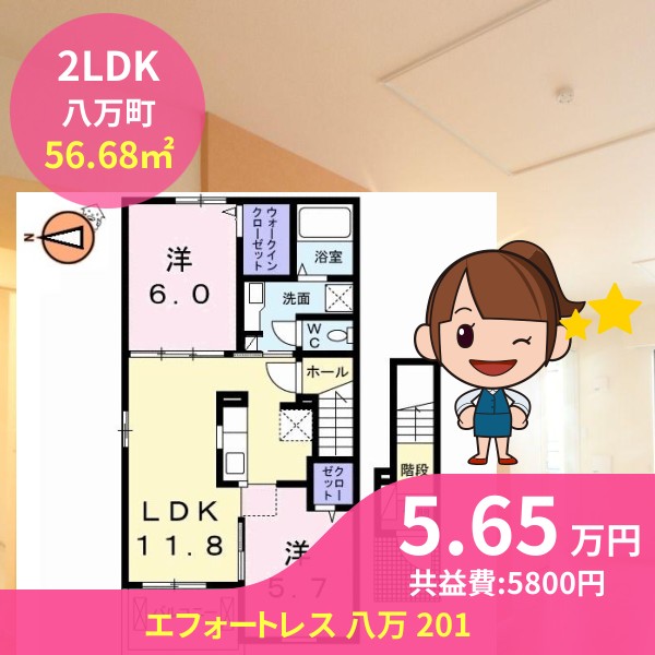 エフォートレス 八万 201
