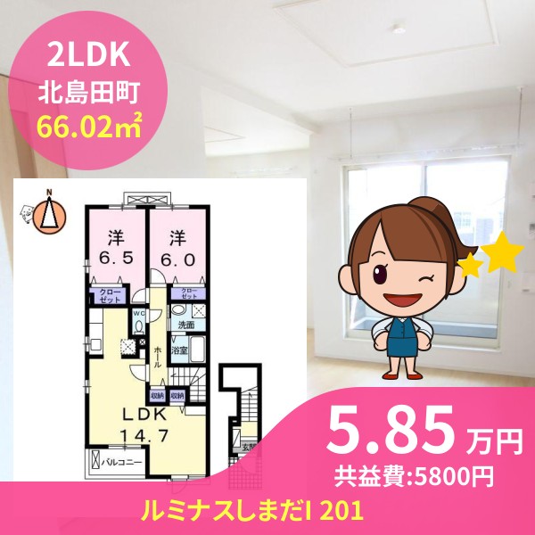 ルミナスしまだI 201