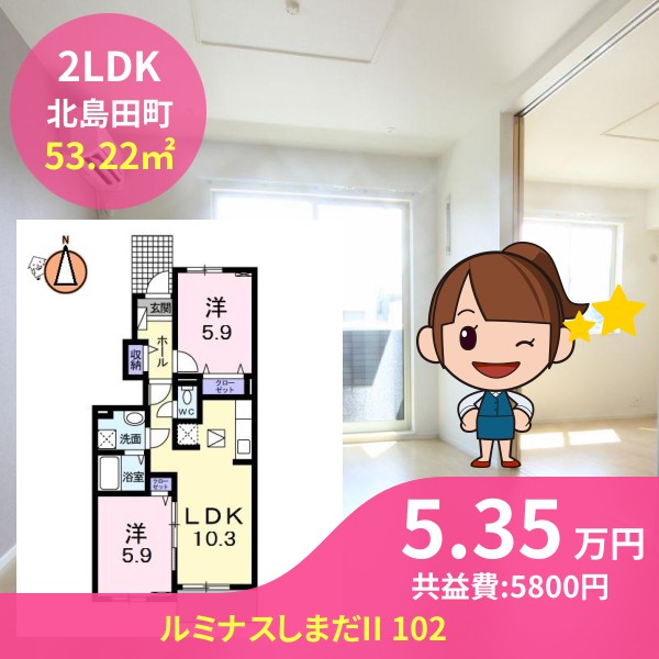 ルミナスしまだII 102