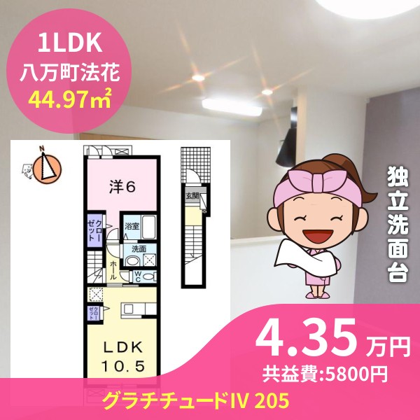 グラチチュードIV 205