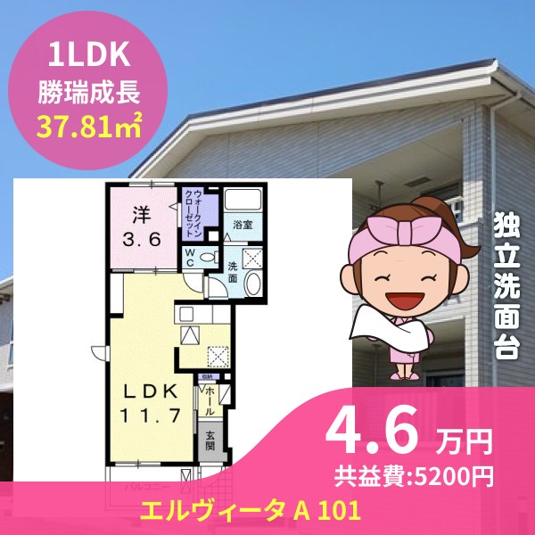 エルヴィータ A 101