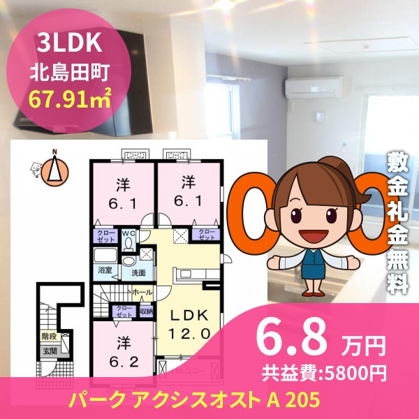 パーク アクシスオスト A 205