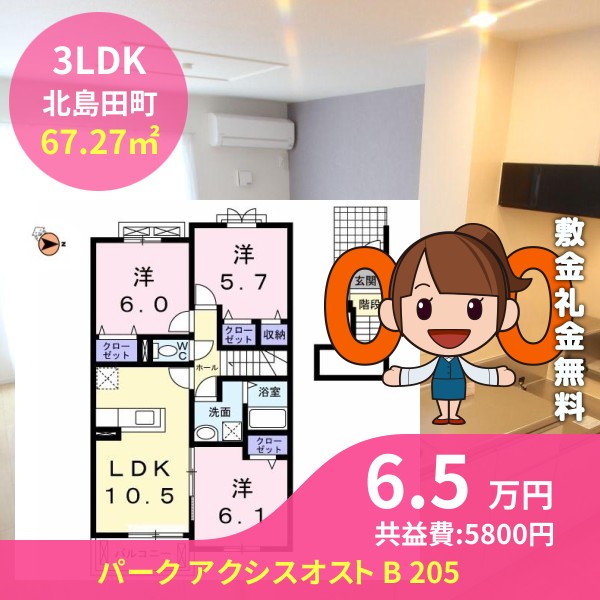 パーク アクシスオスト B 205