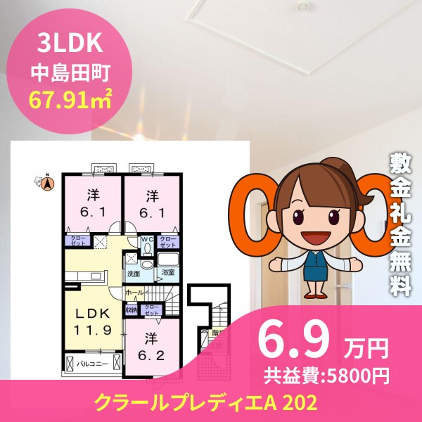 クラールプレディエA 202