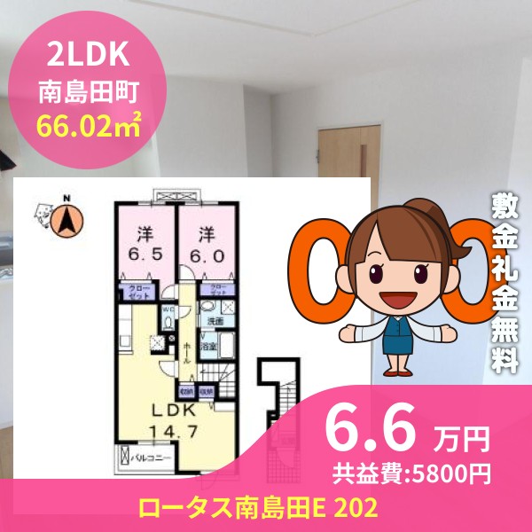 ロータス南島田E 202