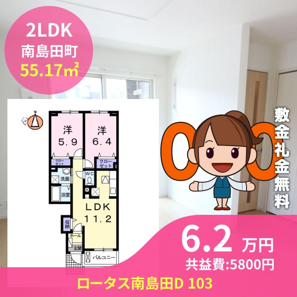 ロータス南島田D 103