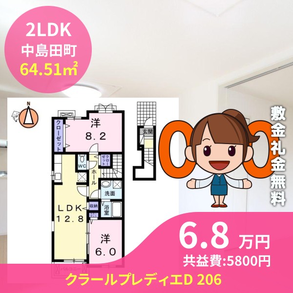 クラールプレディエD 206