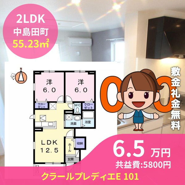 クラールプレディエE 101