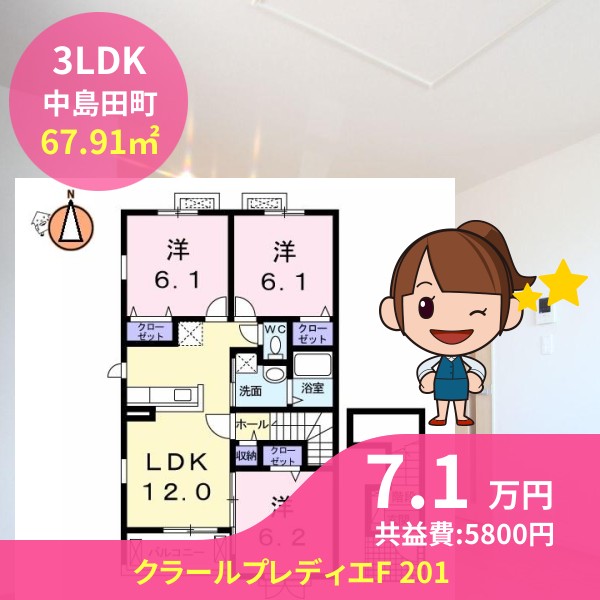 クラールプレディエF 201