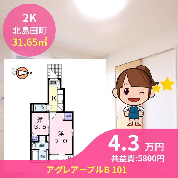 アグレアーブルB 101