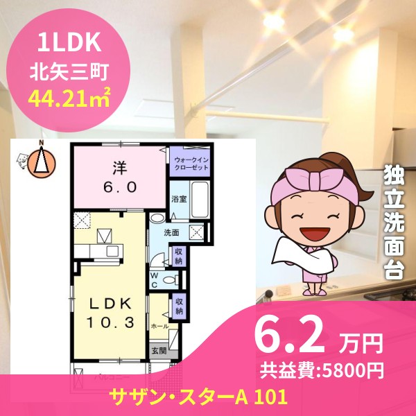 サザン・スターA 101