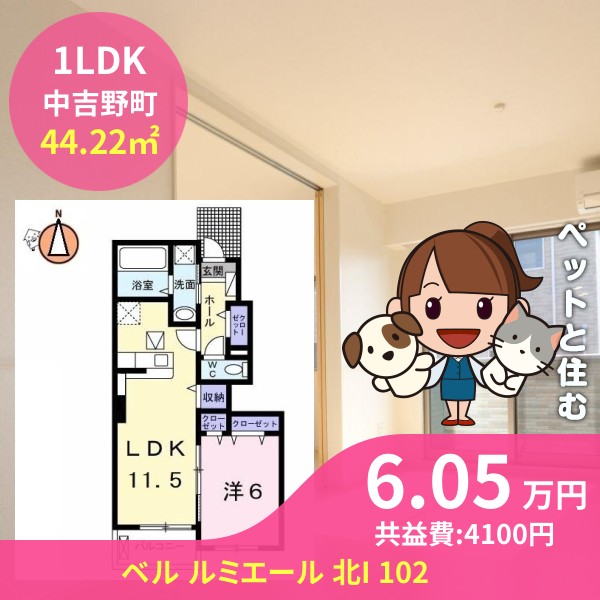 ベル ルミエール 北I 102