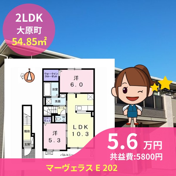 マーヴェラス E 202