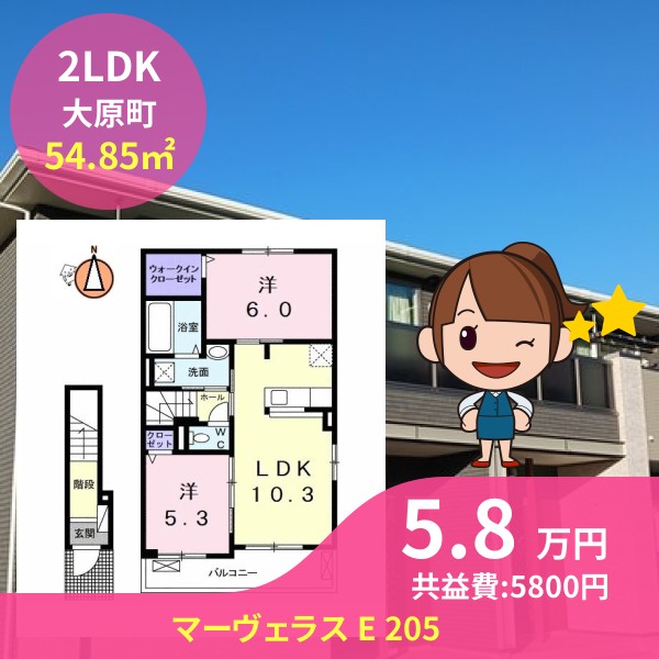 マーヴェラス E 205