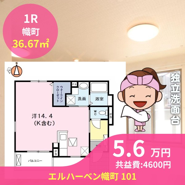 エルハーベン幟町 101