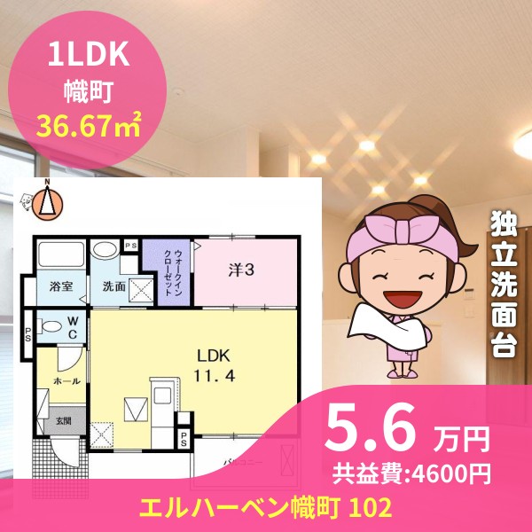 エルハーベン幟町 102