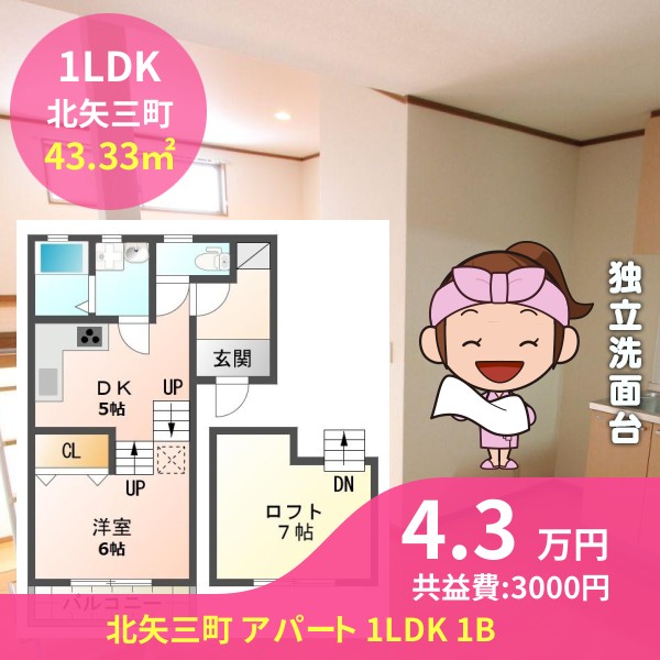 北矢三町 アパート 1LDK 1B