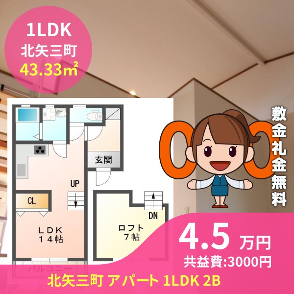 北矢三町 アパート 1LDK 2B
