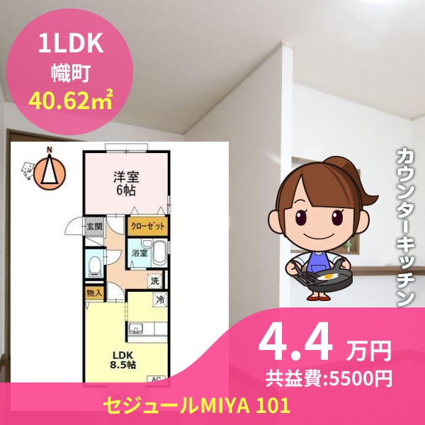 セジュールMIYA 101