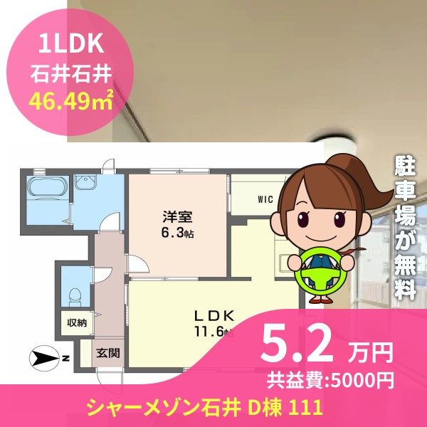 シャーメゾン石井 D棟 111