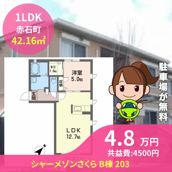 シャーメゾンさくら B棟 203