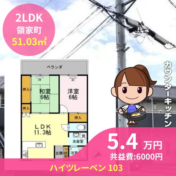 ハイツレーベン 103