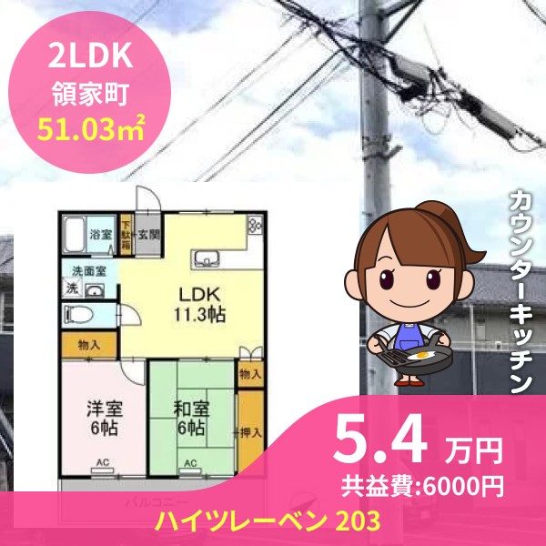 ハイツレーベン 203