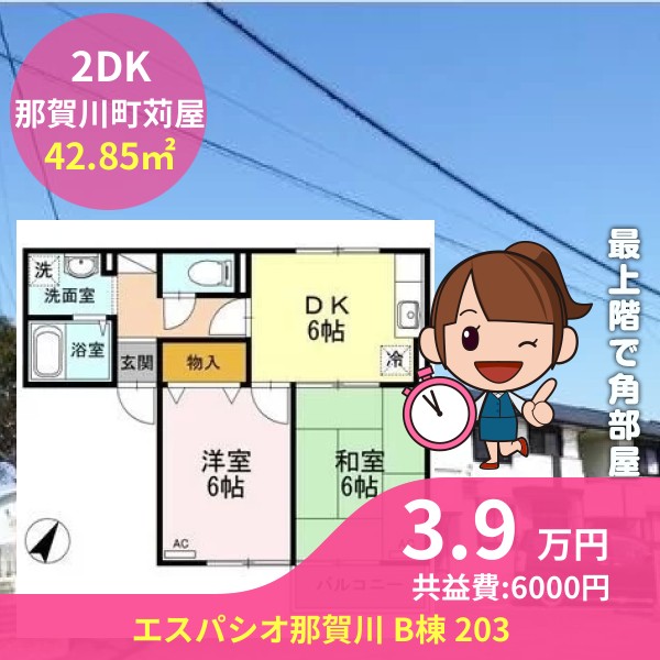 エスパシオ那賀川 B棟 203