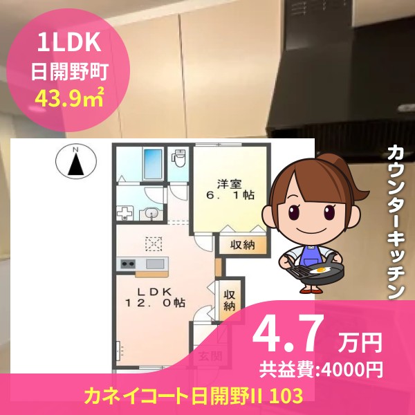 カネイコート日開野II 103