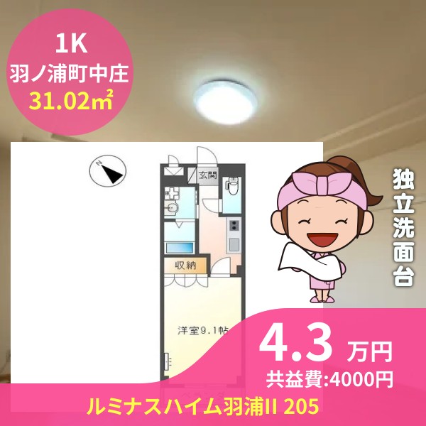ルミナスハイム羽浦II 205
