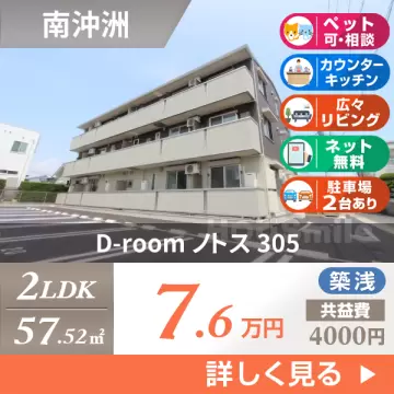D-room ノトス 305