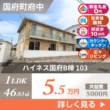 ハイネス国府B棟 103