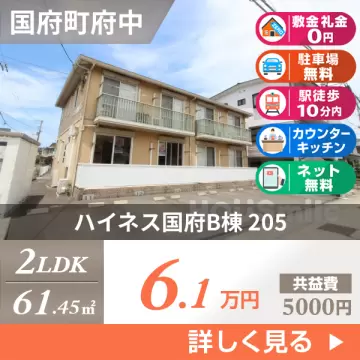 ハイネス国府B棟 205