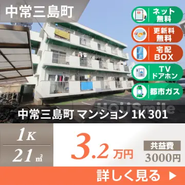 中常三島町 マンション 1K 301
