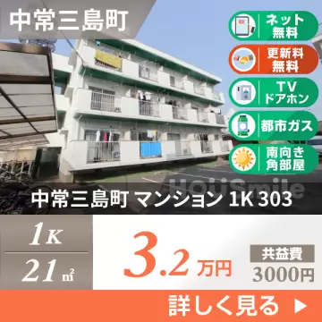 中常三島町 マンション 1K 303