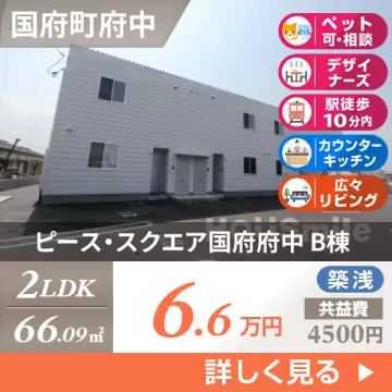 ピース・スクエア国府府中 B棟 201