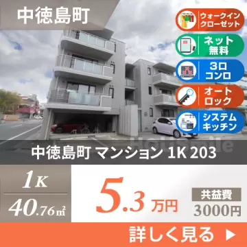 中徳島町 マンション 1K 203
