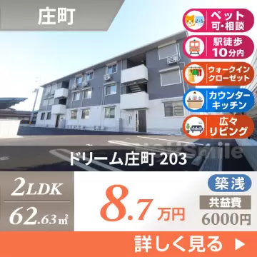 ドリーム庄町 203