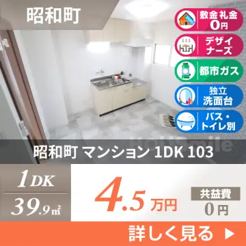 昭和町 マンション 1DK 103
