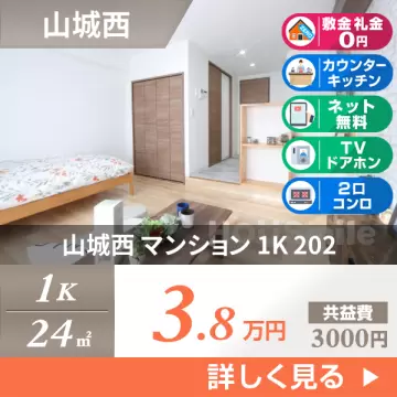 山城西 マンション 1K 202