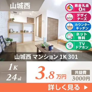 山城西 マンション 1K 301