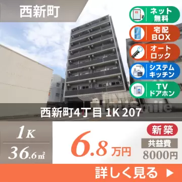 西新町4丁目 マンション 1K 207